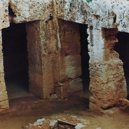 Nest 파포스